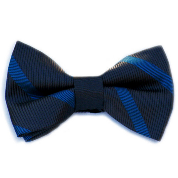 Navy and Blue Medium Stripe Bow Tie
