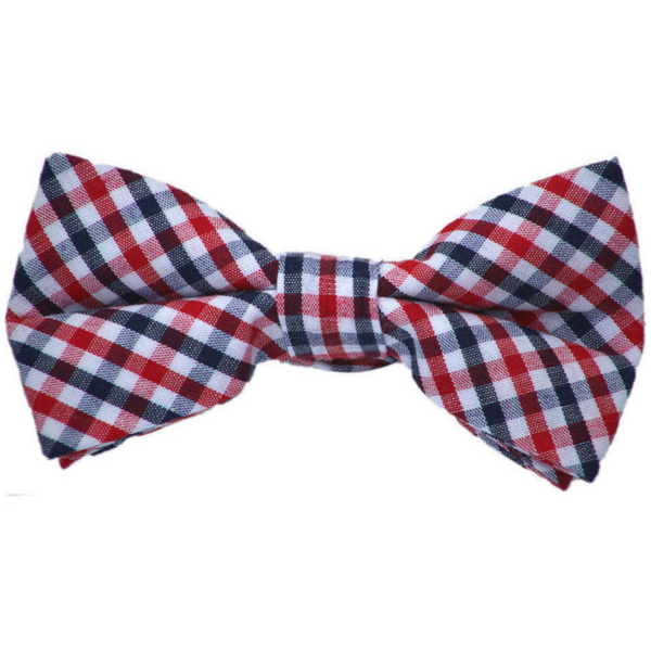 Navy and Red Cotton Bow Tie