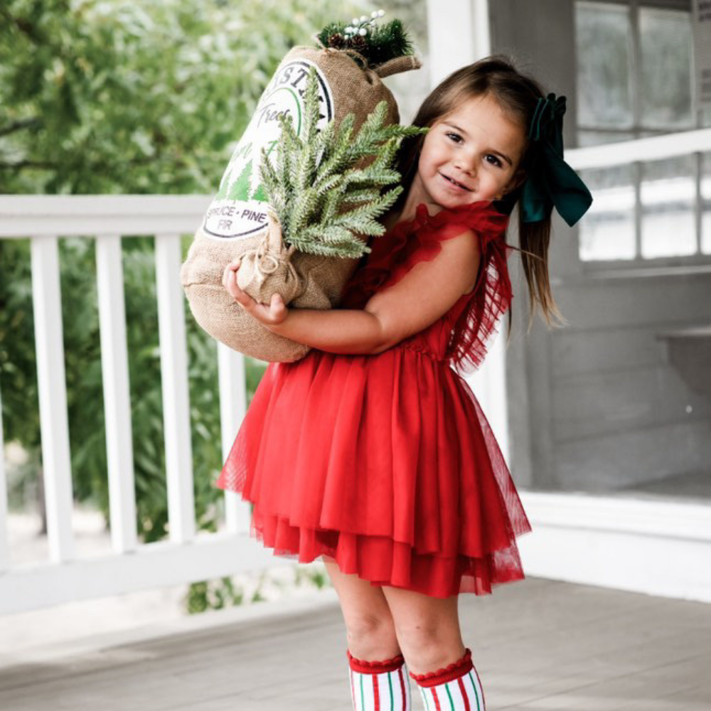 CHRISTMAS GIRL TULLE Dress - Knuckleheads Clothing