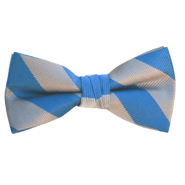 Baby Blue Stripe Bow Tie