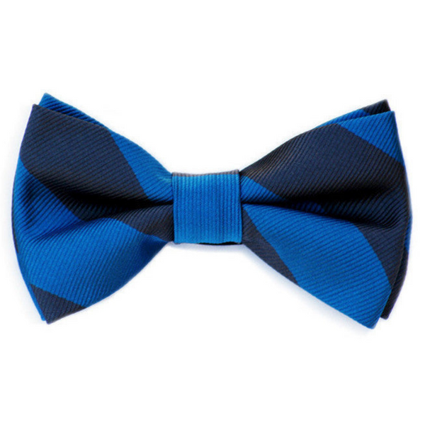 Blue and Navy Bow Tie