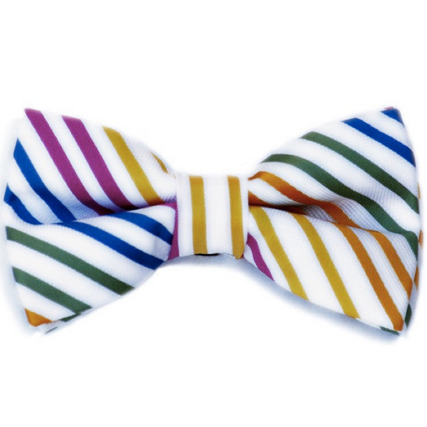 Bright Multicolored Striped Bow Tie
